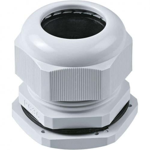 Изображение загружено из каталога картинок. //***VAD***//