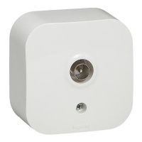 Изображение загружено из каталога картинок. //***VAD***//