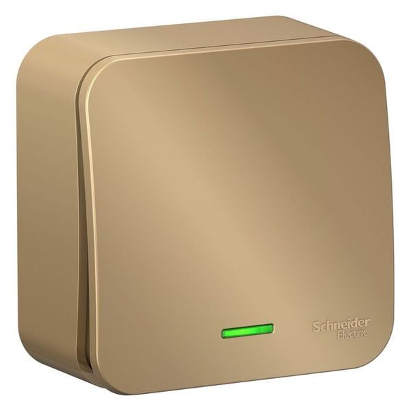 Изображение загружено из каталога картинок. //***VAD***//