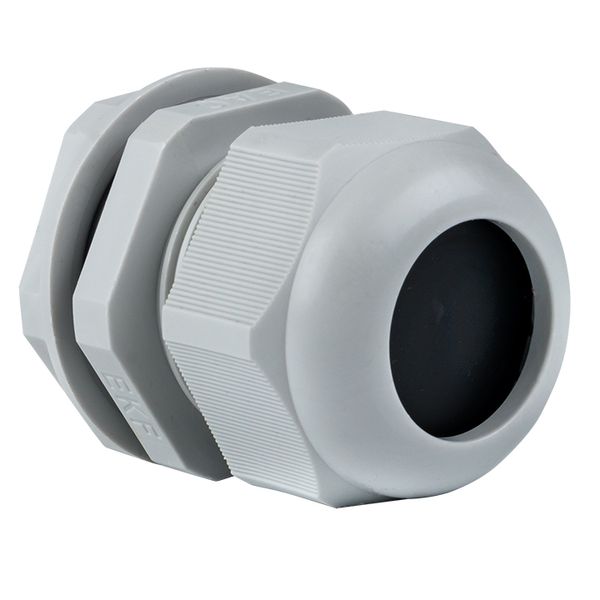 Сальник PG21 IP54 (100 шт) d отв. 28 мм / d провод. 13-18 мм EKF PROxima