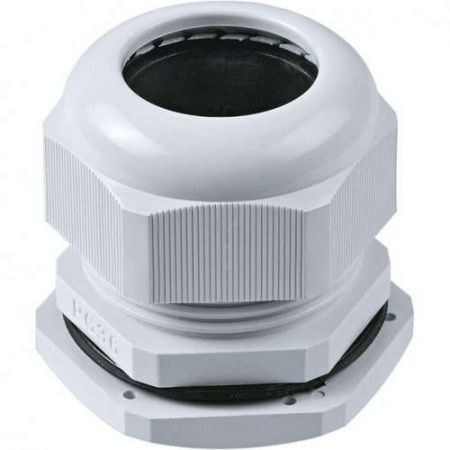 Изображение загружено из каталога картинок. //***VAD***//