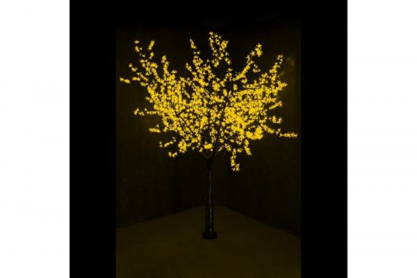 Изображение загружено из каталога картинок. //***VAD***//