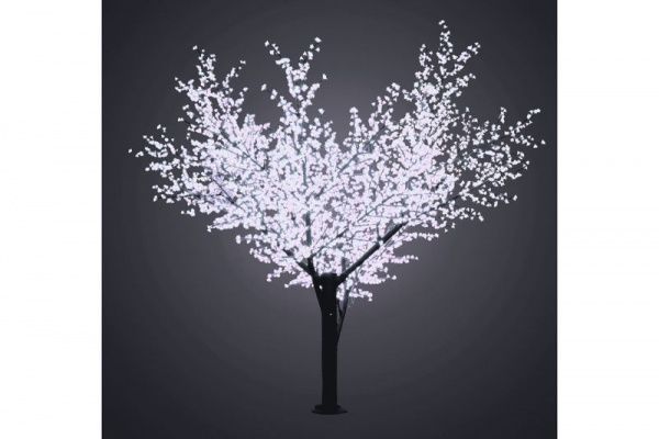 Изображение загружено из каталога картинок. //***VAD***//