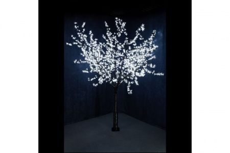 Изображение загружено из каталога картинок. //***VAD***//