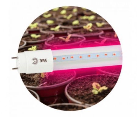 Изображение загружено из каталога картинок. //***VAD***//